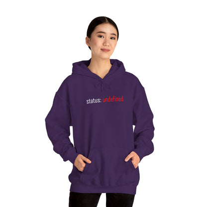 Undefined Status Hoodie - Modern Tech-Inspired Sweatshirt, Unique Gift for Tech Lovers, Casual Wear, Streetwear Style, Cozy Layering