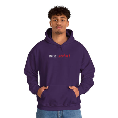 Undefined Status Hoodie - Modern Tech-Inspired Sweatshirt, Unique Gift for Tech Lovers, Casual Wear, Streetwear Style, Cozy Layering