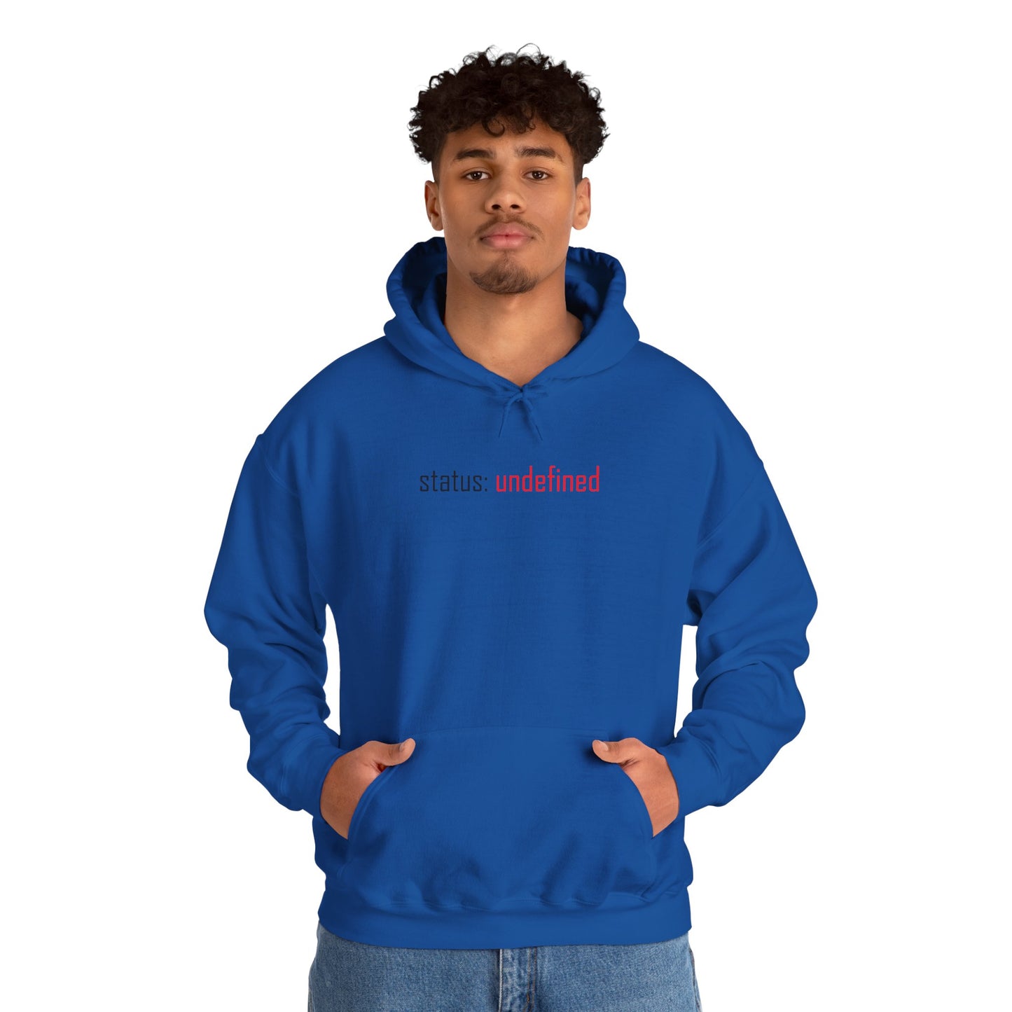 Undefined Status Hoodie - Modern Tech-Inspired Sweatshirt, Unique Gift for Tech Lovers, Casual Wear, Streetwear Style, Cozy Layering