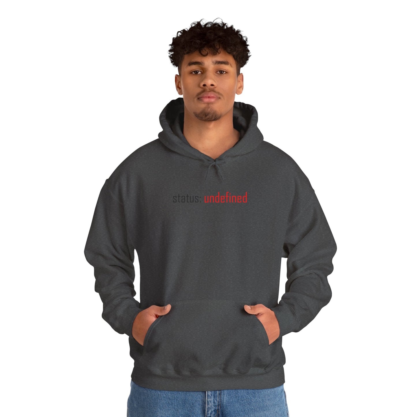 Undefined Status Hoodie - Modern Tech-Inspired Sweatshirt, Unique Gift for Tech Lovers, Casual Wear, Streetwear Style, Cozy Layering